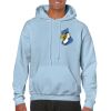 Heavy Blend Adult Hooded Sweatshirt Thumbnail