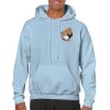 Heavy Blend Adult Hooded Sweatshirt Thumbnail