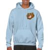 Heavy Blend Adult Hooded Sweatshirt Thumbnail