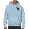 Heavy Blend Adult Hooded Sweatshirt Thumbnail