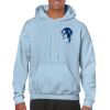 Heavy Blend Adult Hooded Sweatshirt Thumbnail