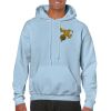 Heavy Blend Adult Hooded Sweatshirt Thumbnail