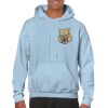 Heavy Blend Adult Hooded Sweatshirt Thumbnail