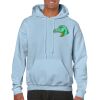 Heavy Blend Adult Hooded Sweatshirt Thumbnail