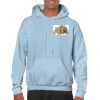 Heavy Blend Adult Hooded Sweatshirt Thumbnail