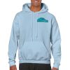 Heavy Blend Adult Hooded Sweatshirt Thumbnail