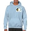 Heavy Blend Adult Hooded Sweatshirt Thumbnail