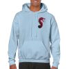 Heavy Blend Adult Hooded Sweatshirt Thumbnail