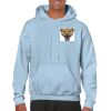 Heavy Blend Adult Hooded Sweatshirt Thumbnail