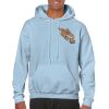 Heavy Blend Adult Hooded Sweatshirt Thumbnail
