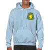Heavy Blend Adult Hooded Sweatshirt Thumbnail