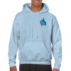 Heavy Blend Adult Hooded Sweatshirt Thumbnail