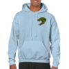 Heavy Blend Adult Hooded Sweatshirt Thumbnail