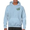 Heavy Blend Adult Hooded Sweatshirt Thumbnail