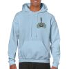 Heavy Blend Adult Hooded Sweatshirt Thumbnail