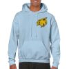 Heavy Blend Adult Hooded Sweatshirt Thumbnail