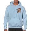 Heavy Blend Adult Hooded Sweatshirt Thumbnail