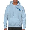Heavy Blend Adult Hooded Sweatshirt Thumbnail