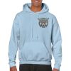 Heavy Blend Adult Hooded Sweatshirt Thumbnail