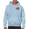 Heavy Blend Adult Hooded Sweatshirt Thumbnail