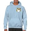 Heavy Blend Adult Hooded Sweatshirt Thumbnail