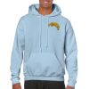 Heavy Blend Adult Hooded Sweatshirt Thumbnail