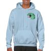 Heavy Blend Adult Hooded Sweatshirt Thumbnail