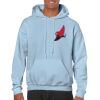 Heavy Blend Adult Hooded Sweatshirt Thumbnail