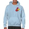 Heavy Blend Adult Hooded Sweatshirt Thumbnail