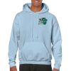Heavy Blend Adult Hooded Sweatshirt Thumbnail