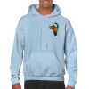 Heavy Blend Adult Hooded Sweatshirt Thumbnail