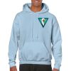 Heavy Blend Adult Hooded Sweatshirt Thumbnail