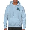 Heavy Blend Adult Hooded Sweatshirt Thumbnail