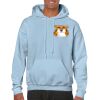Heavy Blend Adult Hooded Sweatshirt Thumbnail