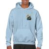 Heavy Blend Adult Hooded Sweatshirt Thumbnail