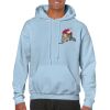 Heavy Blend Adult Hooded Sweatshirt Thumbnail