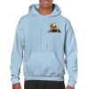 Heavy Blend Adult Hooded Sweatshirt Thumbnail