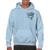 Heavy Blend Adult Hooded Sweatshirt Thumbnail