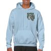 Heavy Blend Adult Hooded Sweatshirt Thumbnail