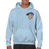 Heavy Blend Adult Hooded Sweatshirt Thumbnail