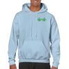 Heavy Blend Adult Hooded Sweatshirt Thumbnail