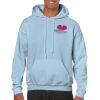 Heavy Blend Adult Hooded Sweatshirt Thumbnail