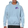 Heavy Blend Adult Hooded Sweatshirt Thumbnail