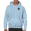 Heavy Blend Adult Hooded Sweatshirt Thumbnail