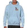Heavy Blend Adult Hooded Sweatshirt Thumbnail