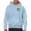 Heavy Blend Adult Hooded Sweatshirt Thumbnail