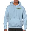 Heavy Blend Adult Hooded Sweatshirt Thumbnail