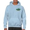 Heavy Blend Adult Hooded Sweatshirt Thumbnail