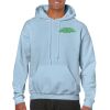 Heavy Blend Adult Hooded Sweatshirt Thumbnail