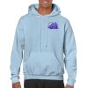 Heavy Blend Adult Hooded Sweatshirt Thumbnail